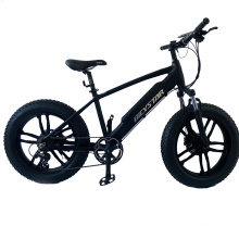 13ah battery fat tire electric bike 750w e bikes 1000watts electric bicycle